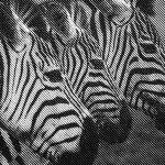 Les étapes clés pour créer une plateforme de marque cohérente et différenciante